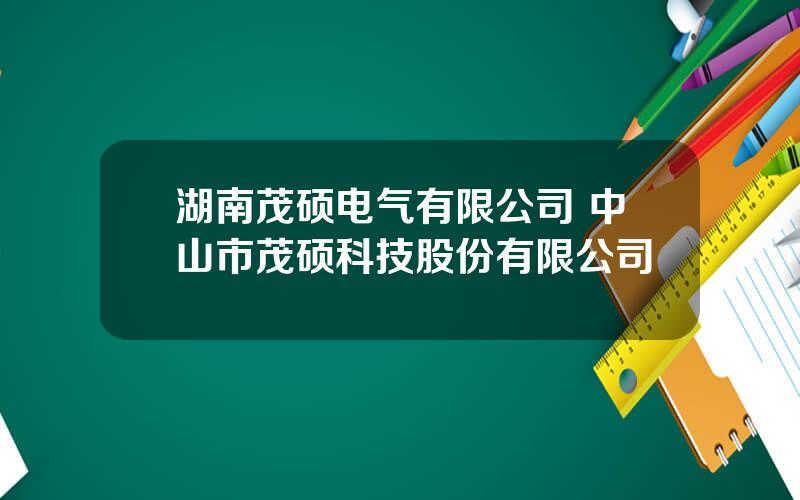 湖南茂硕电气有限公司 中山市茂硕科技股份有限公司